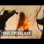 A Grande Muralha | Trailer #2 Oficial (2017) Legendado HD