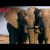 O Jogo do Marfim – Trailer oficial – Documentário Netflix [HD]