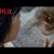 OKJA – Teaser – Só na Netflix a 28 de junho