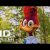 PICA-PAU | Trailer (2017) Dublado HD
