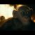 Planeta dos Macacos: A Guerra | Clip “Bad Ape” | 20th Century FOX Portugal