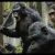 Planeta dos Macacos: O Confronto Trailer Estendido Oficial (2014) Legendado HD