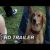 Quatro Vidas de Um Cachorro | Trailer Oficial (2017) Legendado HD