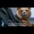 “Ted 2” – Trailer Oficial Legendado (Portugal)
