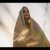 “Maria Madalena” – Clip “A História Nunca Contada” (Universal Pictures Portugal) | HD