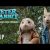 “Peter Rabbit” – Clip “Animais Selvagens” (Sony Pictures Portugal)