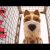 Ilha dos Cães | Spot ‘Busca’ [HD] | 20th Century FOX Portugal