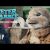 “Peter Rabbit” – Clip “A Combinar” (Sony Pictures Portugal)