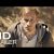 O CULTO | Trailer (2018) Legendado HD