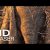 DUMBO | Teaser Trailer (2019) Legendado HD