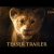 O Rei Leão | Trailer 2019 Imagem Real |Oficial Disney PT