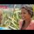 Amor e uma Estalagem com Christina Milian | Trailer oficial | Netflix