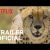 Animal | Trailer oficial | Netflix