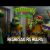 Tartarugas Ninja: Caos Mutante | Regresso às Aulas | (Filme 2023) – Seth Rogen